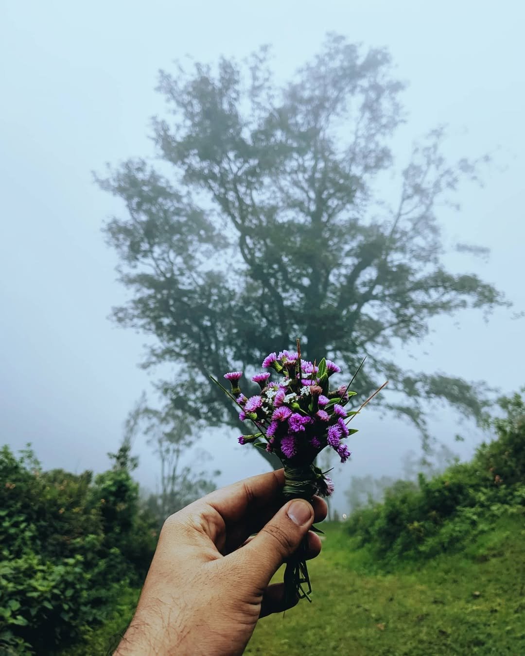 Best Munnar 4 days and 3 nights Couple Tour Packages