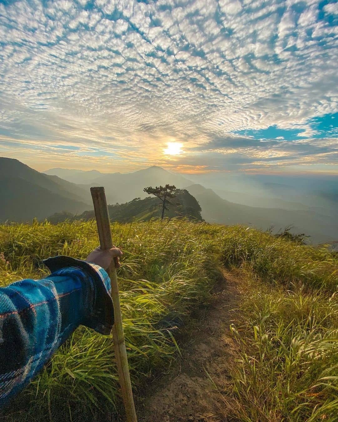Tumjang & Sielkal Peak: The Ultimate Trekking Experience, Best Group Tour Packages