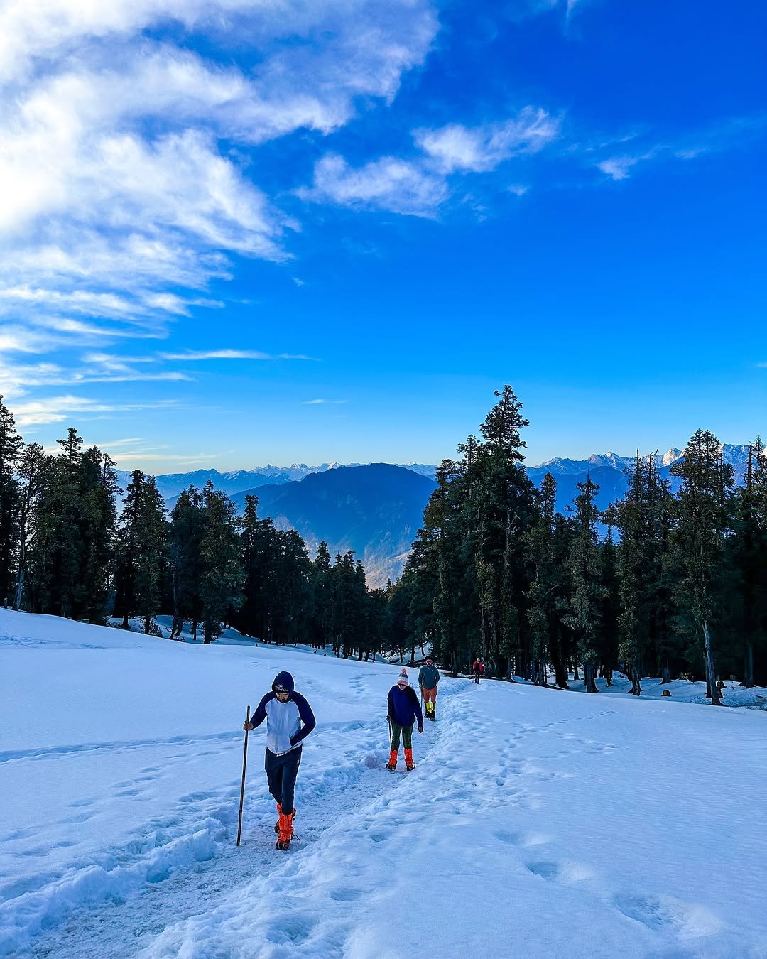 Best Kedarkantha winter trek tour packages(Dehradun to Dehradun)