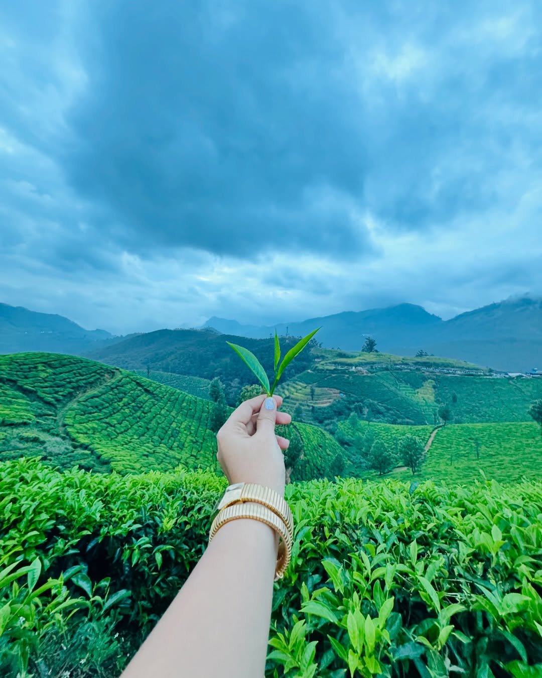 Best Munnar Couple Tour Packages
