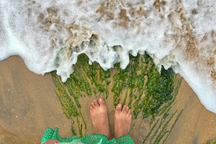 Best Varkala Tour Packages