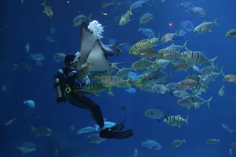 Best Lakshadweep Tour Packages_Discover the beauty of Lakshadweep with our affordable 4 days and 3 nights budget packages!