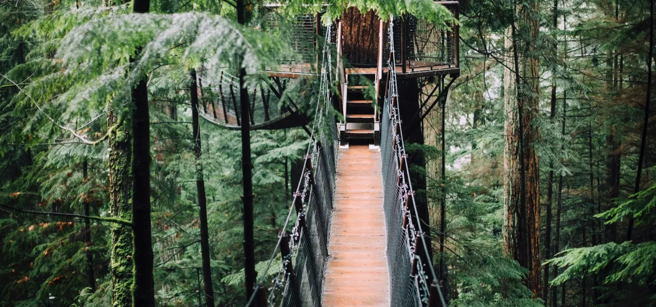 Photo by Lisha Riabinina on Unsplash