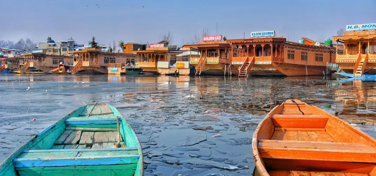 Photo by Amjed Wani in Pexels