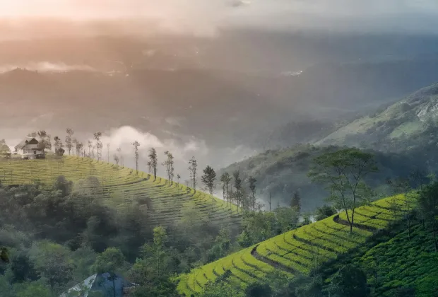 Munnar