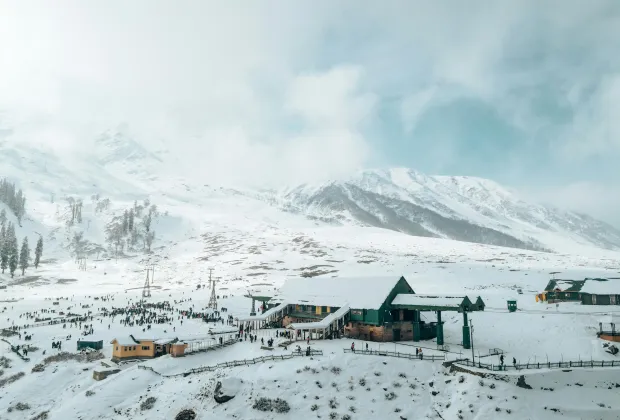 Alive in Kashmir