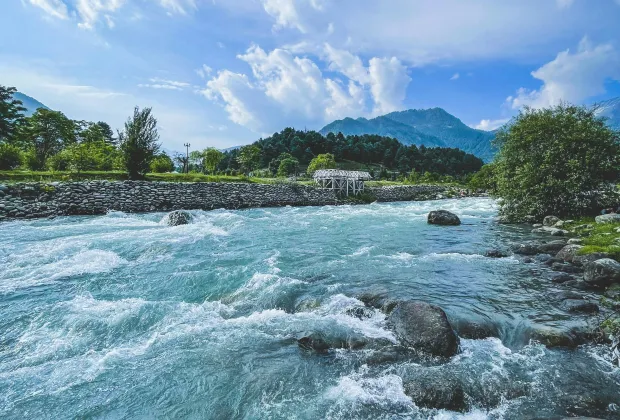 Alive in Kashmir