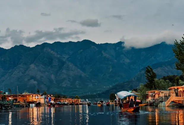 Alive in Kashmir