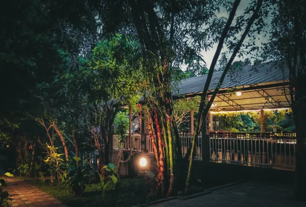 Budget Wayanad Couple Tour Packages-Gotripzee.com