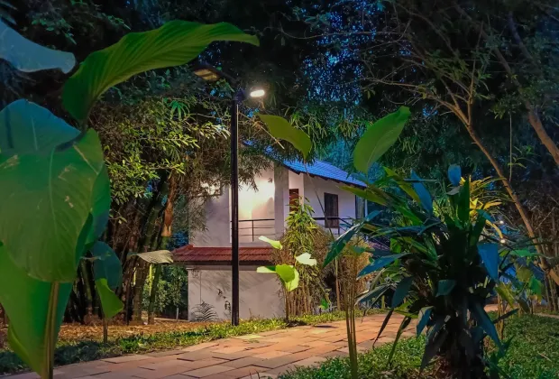 Budget Wayanad Couple Tour Packages-Gotripzee.com