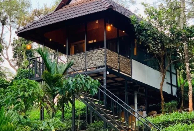 Best Wayanad Couple Honeymoon Tour Packages-Gotripzee.com
