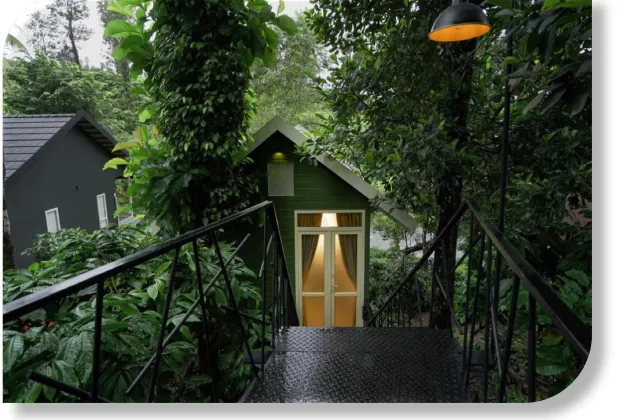 Best Wayanad Couple Tour Packages-Gotripzee.com