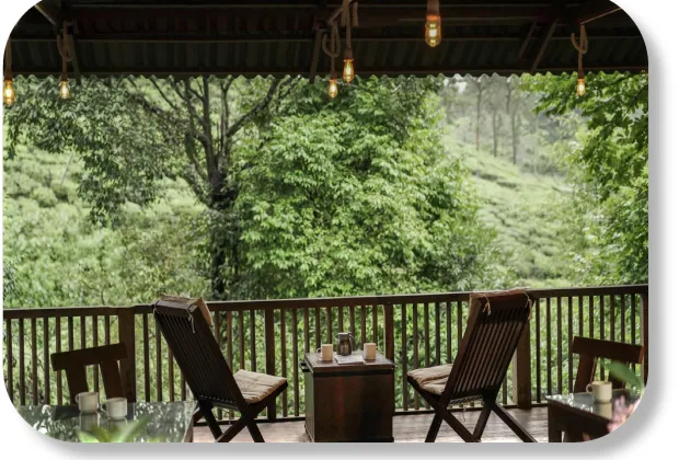 Best Wayanad Couple Tour Packages-Gotripzee.com