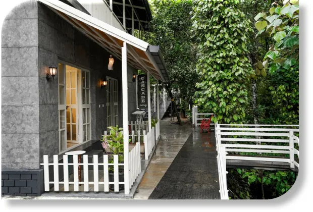 Best Wayanad Couple Honeymoon Tour Packages-Gotripzee.com