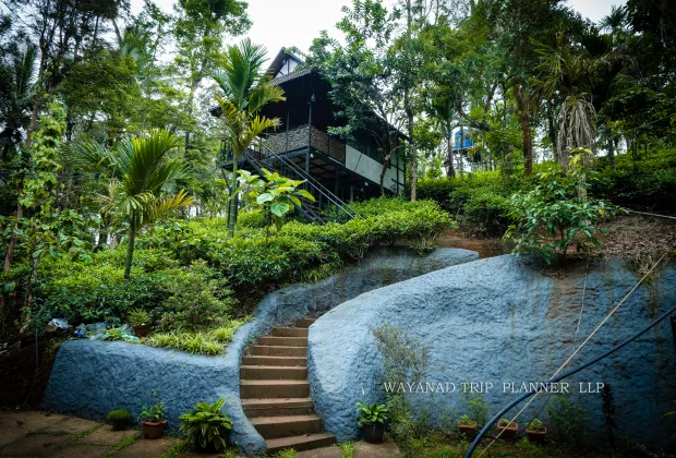 Budget Wayanad Couple Tour Packages-Gotripzee.com