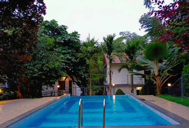 Budget Wayanad Couple Tour Packages-Gotripzee.com