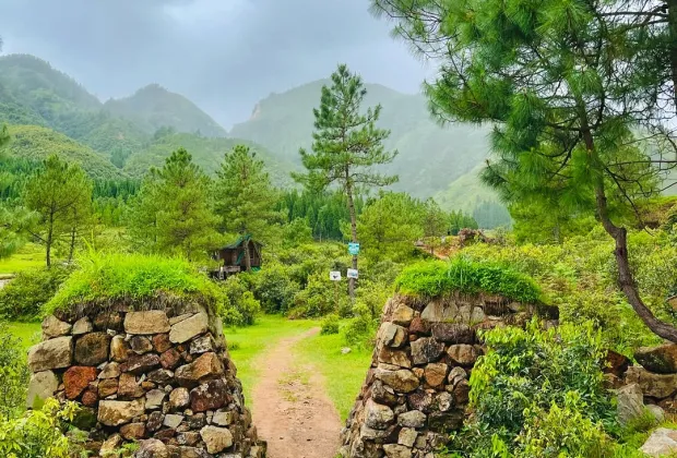 Bulls Trek Meghalaya, Best Group Tour Packages