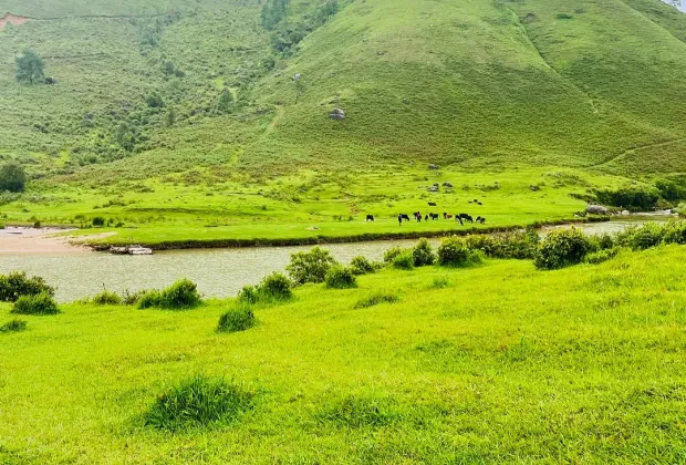 Bulls Trek Meghalaya, Best Group Tour Packages