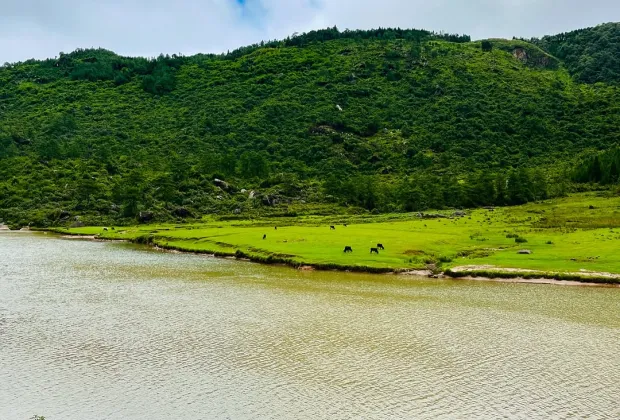 Bulls Trek Meghalaya, Best Group Tour Packages