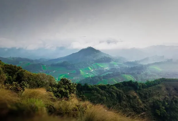 best 2 days 1 night munnar group tour packages