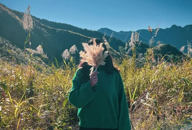 Best Tumjang and Seikal Peak Tour Packages. Gotripzee.com