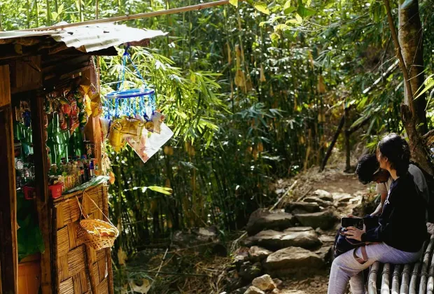 Best Meghalaya bamboo trek group tour packages 