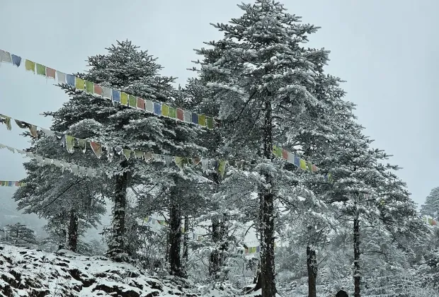 Best Tawang Tour Packages