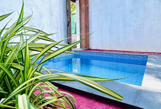 Best Couple Private Pool Rooms in Varkala