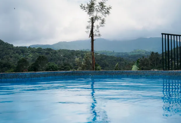 Best Wayanad Couple Honeymoon Tour Packages-Gotripzee.com