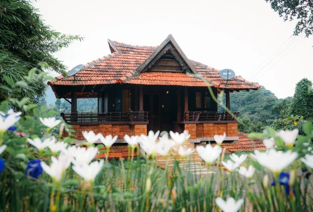 Top Wayanad couple Tour Packages-Gotripzee.com