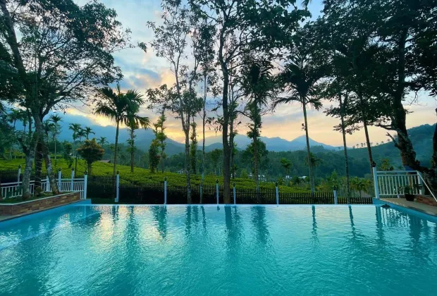Best Wayanad Couple Honeymoon Tour Packages-Gotripzee.com