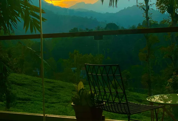 Best Wayanad Couple Tour Packages-Gotripzee.com