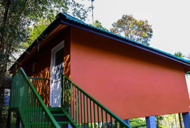 Best Wayanad Couple Honeymoon Tour Packages-Gotripzee.com
