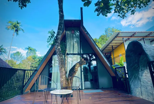 Best Wayanad Couple Honeymoon Tour Packages-Gotripzee.com