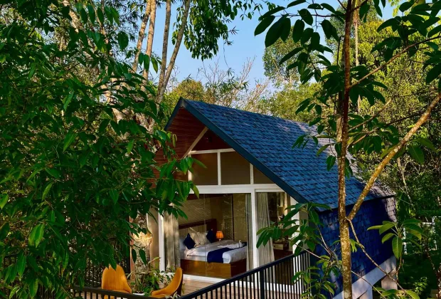 Best Wayanad Couple Tour Packages-Gotripzee.com