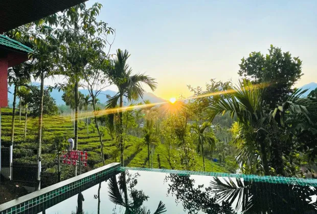 Best Wayanad Couple Honeymoon Tour Packages-Gotripzee.com