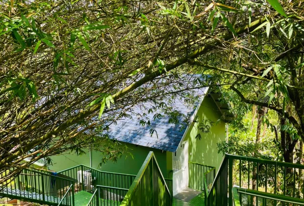 Best Wayanad Couple Honeymoon Tour Packages-Gotripzee.com