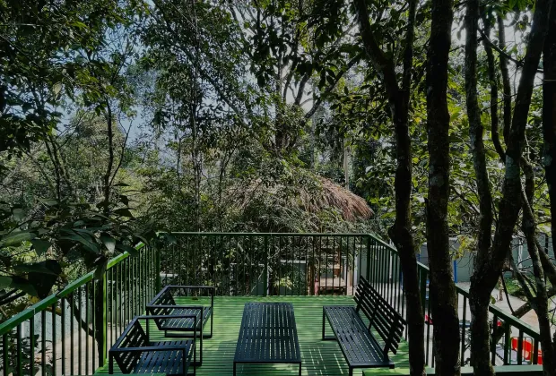 Best Wayanad FAMILY Tour Packages-Gotripzee.com