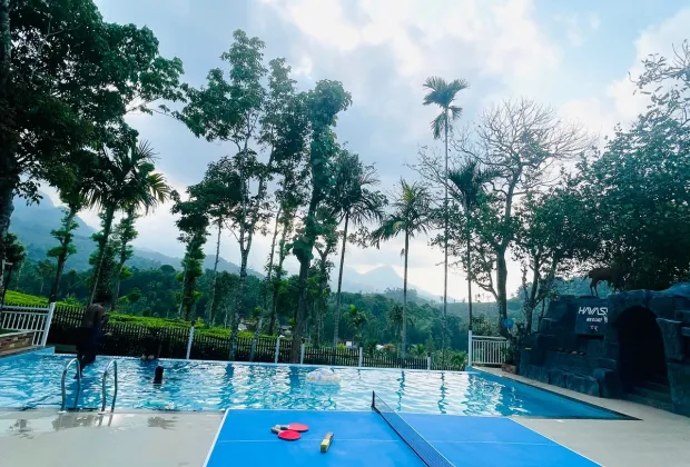 Best Wayanad Couple Honeymoon Tour Packages-Gotripzee.com