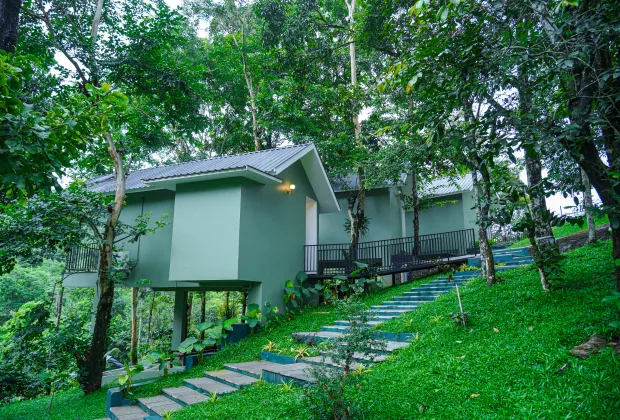Best Wayanad Couple Honeymoon Tour Packages-Gotripzee.com