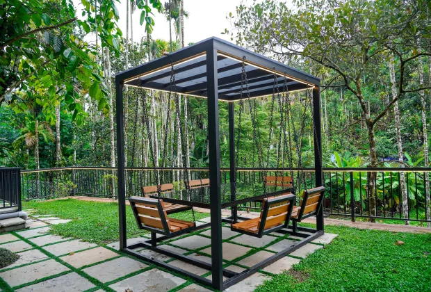 Best Wayanad Couple Honeymoon Tour Packages-Gotripzee.com