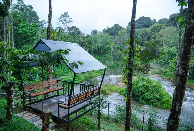 Best Wayanad Couple Honeymoon Tour Packages-Gotripzee.com