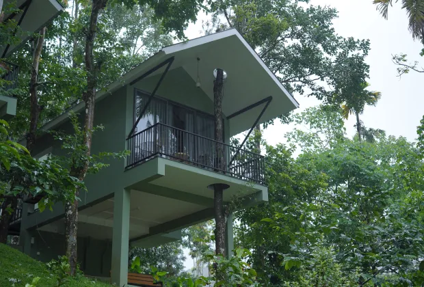 Best Wayanad Couple Honeymoon Tour Packages-Gotripzee.com