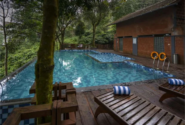 Best Wayanad Couple Honeymoon Tour Packages-Gotripzee.com