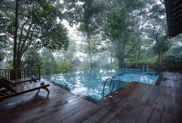 Best Wayanad Couple Honeymoon Tour Packages-Gotripzee.com