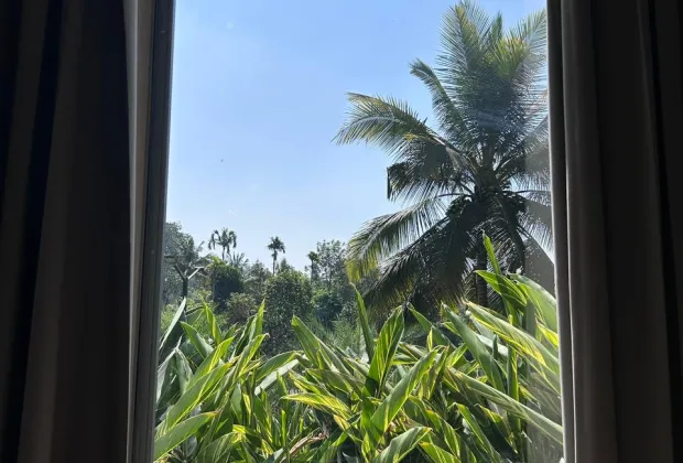 best swimming pool resort in Wayanad