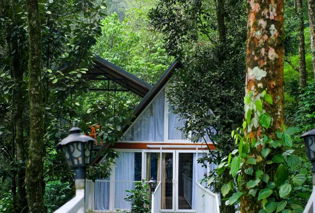 premium resort in 900 kandi wayanad, luxury stay in 900 kandi, best resorts in 900 kandi wayanad, top rated rooms in wayanad, luxury resorts in wayanad, couple friendly resorts wayanad, scenic stay wayanad, best luxury stays in wayanad, mountain view resorts wayanad, exclusive stays wayanad