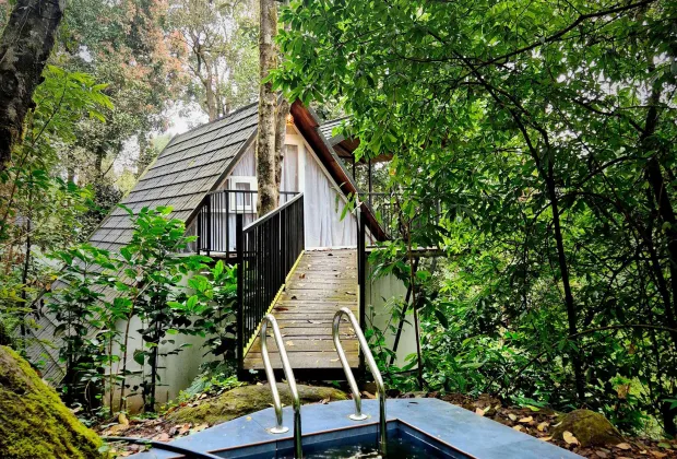premium resort in 900 kandi wayanad, luxury stay in 900 kandi, best resorts in 900 kandi wayanad, top rated rooms in wayanad, luxury resorts in wayanad, couple friendly resorts wayanad, scenic stay wayanad, best luxury stays in wayanad, mountain view resorts wayanad, exclusive stays wayanad