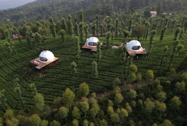 glamping dome stay in Wayanad, igloo stay in Wayanad, unique stays in Wayanad, luxury glamping Wayanad, top rated rooms in Wayanad, couple friendly stays Wayanad, best luxury stays in Wayanad, boutique stays in Wayanad, nature stay Wayanad, premium stays Wayanad