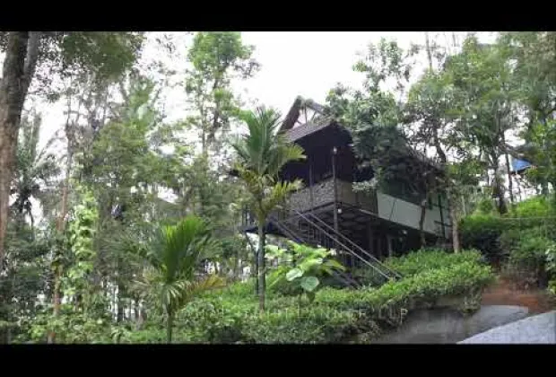 Preview image for the video "#WTP Stays-6".